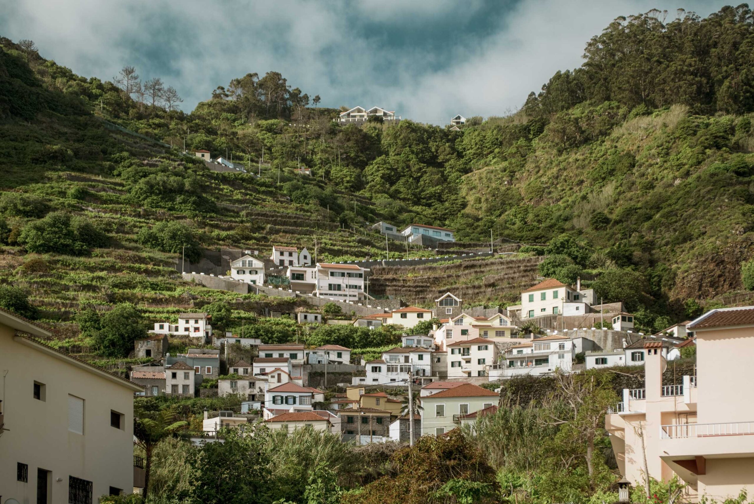 madeira winery visit