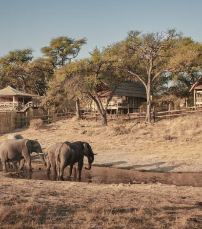 Belmond Safaris, Savute Elephant Lodge, Botswana.